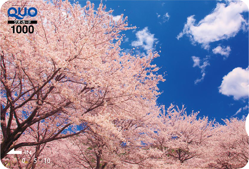 QUOカード1,000円券:大空に桜咲く
