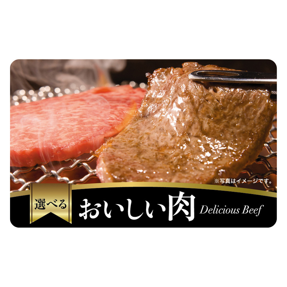 【伊藤忠食品】選べるおいしい肉 写真1