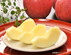 信州りんご家庭用3kg【2025年9月〜2026年3月にお届け】