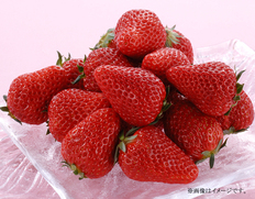 紅ほっぺいちご260g【2026年1月〜2月にお届け】