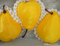 【新潟県】ルレクチェギフト【2025年11月下旬〜12月にお届け】